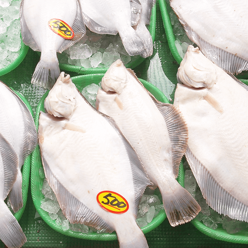 写真：ウロコ水産