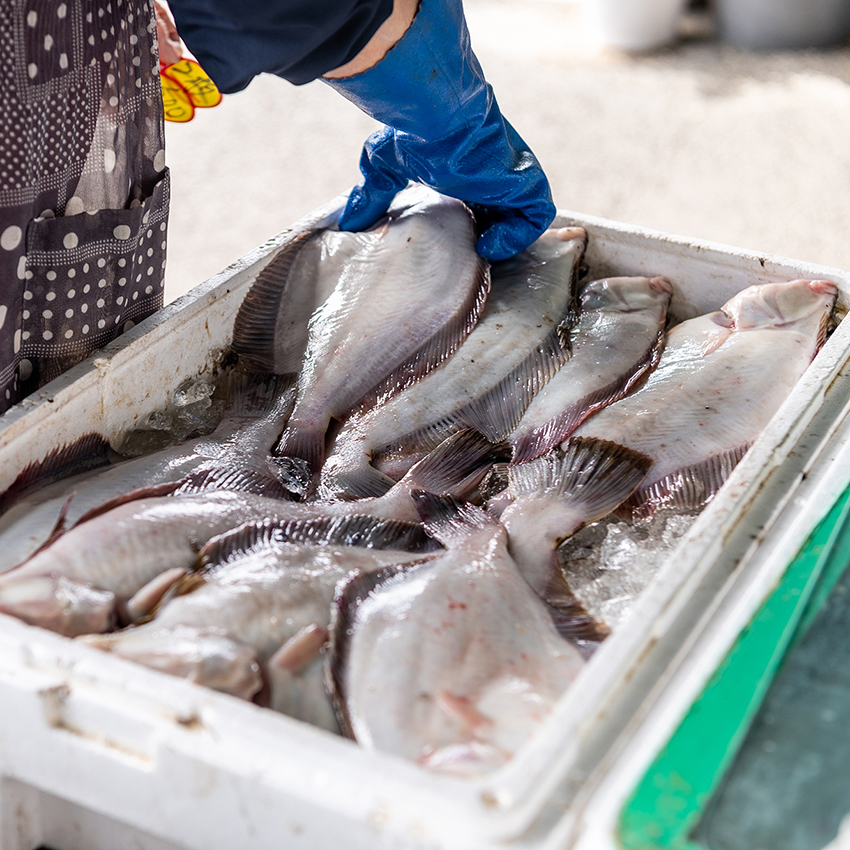 写真:ウロコ水産